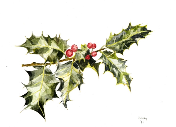 Happy Christmas and All the Best for 2019 by Hilary O'Connell